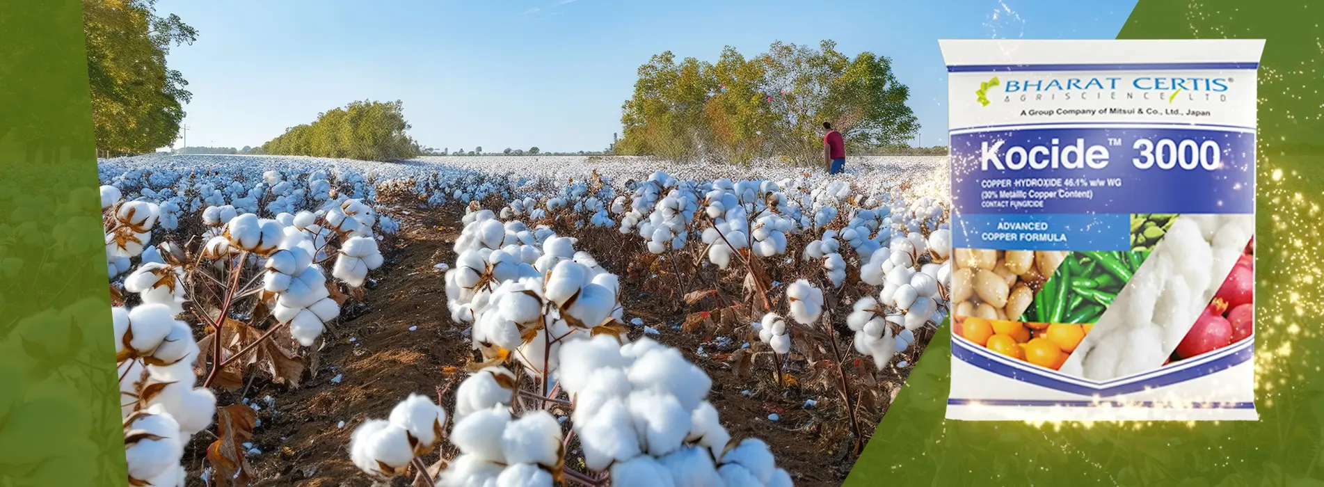 Safeguarding Cotton Crops with Copper Power: The Importance of Fungicide Use